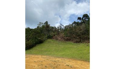 Venta de lote en Palmas