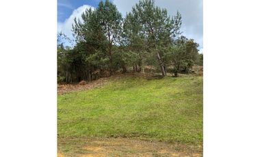 Venta de lote en Palmas