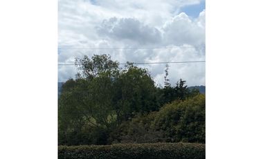 Venta de lote en Palmas