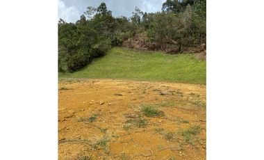 Venta de lote en Palmas