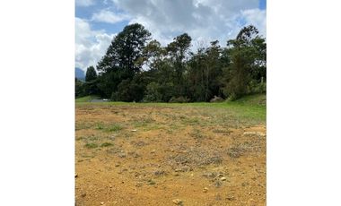 Venta de lote en Palmas