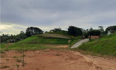 Venta de lote en el Carmen de Viboral