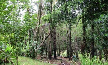 COLON / PORTOBELO / MARA CHIQUITA / 8500M2 / 7 HABIT / VISTA AL MAR