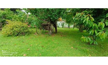 CASA QUINTA DE 2700 M2 EN EL MACRO CENTRO DE LA CIUDAD