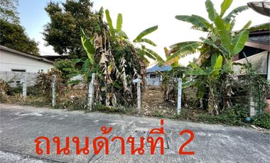 Land for sale in Wiang, Chiang Rai