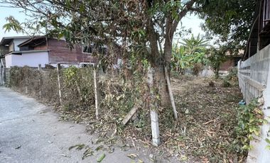 Land for sale in Wiang, Chiang Rai