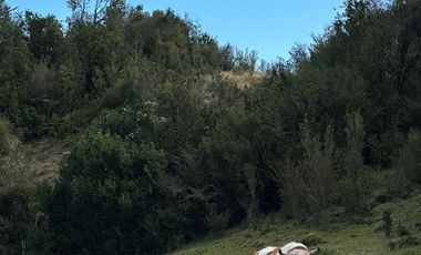 Parcela en venta  en PUERTO MONTT