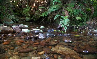 Parcela en venta en PUERTO MONTT