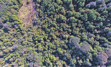 Parcela en venta en PUERTO MONTT