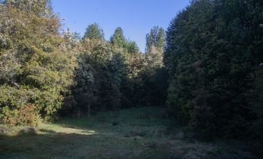 Parcela en venta en PUERTO MONTT