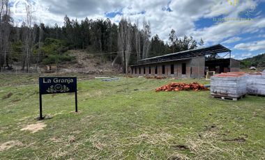 Parcela en venta en CAUQUENES