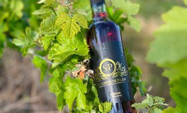 Parcela en venta en CAUQUENES