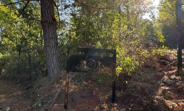 Parcela en venta en CAUQUENES