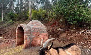 Parcela en venta en CAUQUENES