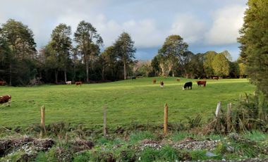 Parcela en venta en PUERTO VARAS