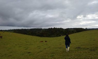 Parcela en venta en PUERTO VARAS