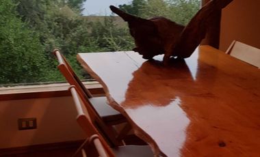 Casa en venta en VICHUQUÉN