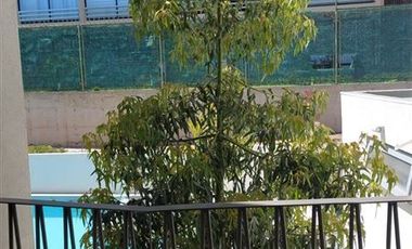 Departamento en Venta en Av. Borgoño / Higuerillas