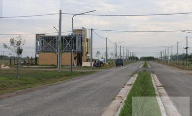 Terreno - Villa Amelia