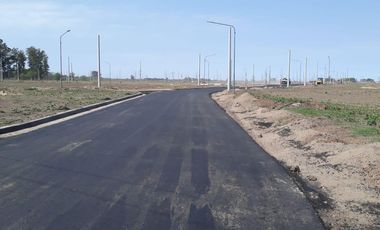 Terreno - Villa Amelia