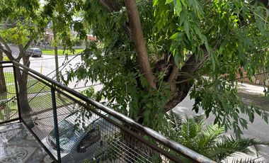 PH venta   Tigre