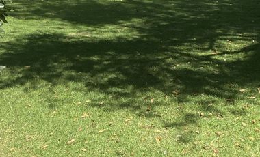 Amplio y hermoso departamento