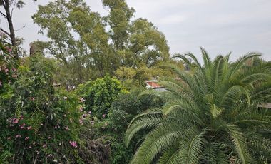 Departamento - Las Mercedes