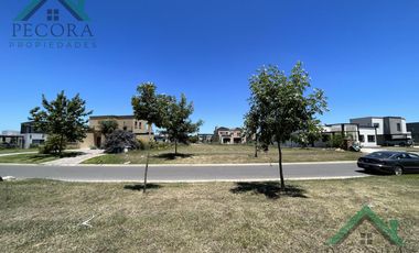Terreno - Interno al golf - El Trébol - Haras Santa Maria - lote 1532