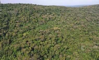 Se Vende Propiedad de 25 ha con Fines Turísticos en Cerro Cora, Misiones