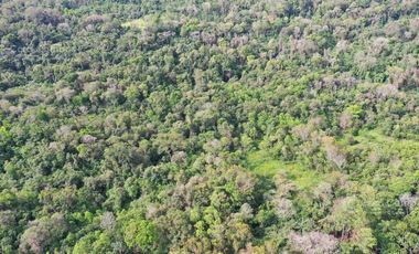Se Vende Propiedad de 25 ha con Fines Turísticos en Cerro Cora, Misiones