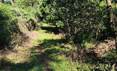 Se Vende Propiedad de 25 ha con Fines Turísticos en Cerro Cora, Misiones