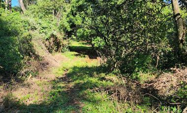 Se Vende Propiedad de 25 ha con Fines Turísticos en Cerro Cora, Misiones