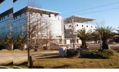 Oficina - Amaneceres Office canning (Comerciales)