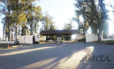 Terreno 1200 m2 - Kentucky