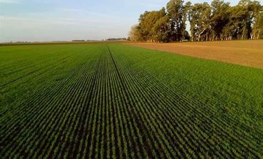 Campo en  Villa Mugueta