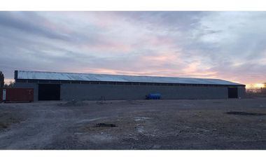 GALPON EN ALQUILER 2000 m2, NEUQUEN