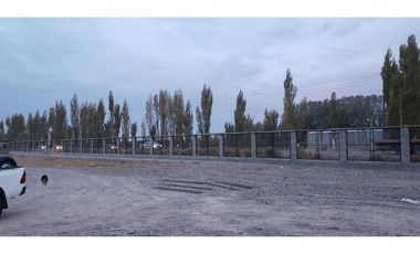 GALPON EN ALQUILER 2000 m2, NEUQUEN
