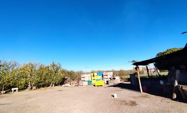 Vende Chacra 6 Hectareas en Allen Con  Galpon y Casa