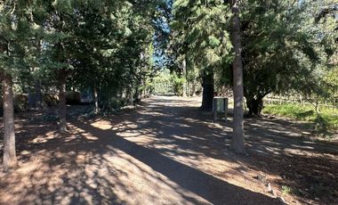 VENTA DE CHACRA EN ALLEN, 6 HECTAREAS
