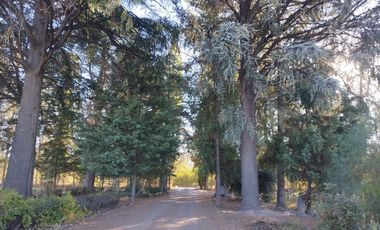 Vende Chacra 6 Hectareas en Allen Con  Galpon y Casa