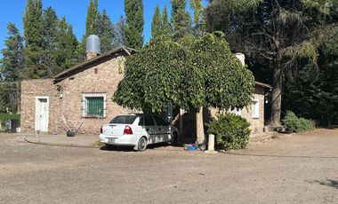 VENTA DE CHACRA EN ALLEN, 6 HECTAREAS