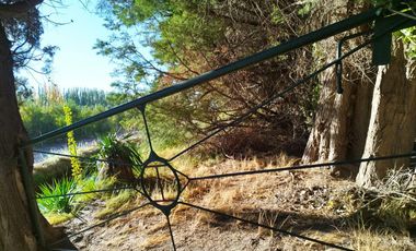 Vende Chacra 6 Hectareas en Allen Con  Galpon y Casa