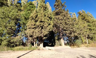 Vende Chacra 6 Hectareas en Allen Con  Galpon y Casa