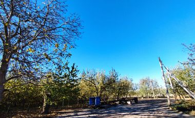 Vende Chacra 6 Hectareas en Allen Con  Galpon y Casa