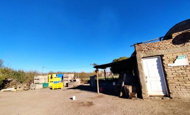 Vende Chacra 6 Hectareas en Allen Con  Galpon y Casa