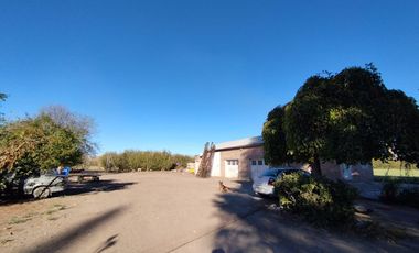 Vende Chacra 6 Hectareas en Allen Con  Galpon y Casa