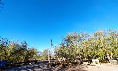 Vende Chacra 6 Hectareas en Allen Con  Galpon y Casa