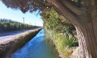 Vende Chacra 6 Hectareas en Allen Con  Galpon y Casa