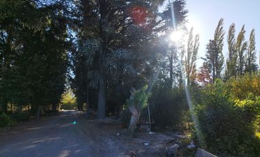 Vende Chacra 6 Hectareas en Allen Con  Galpon y Casa