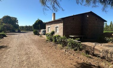 VENTA DE CHACRA EN ALLEN, 6 HECTAREAS